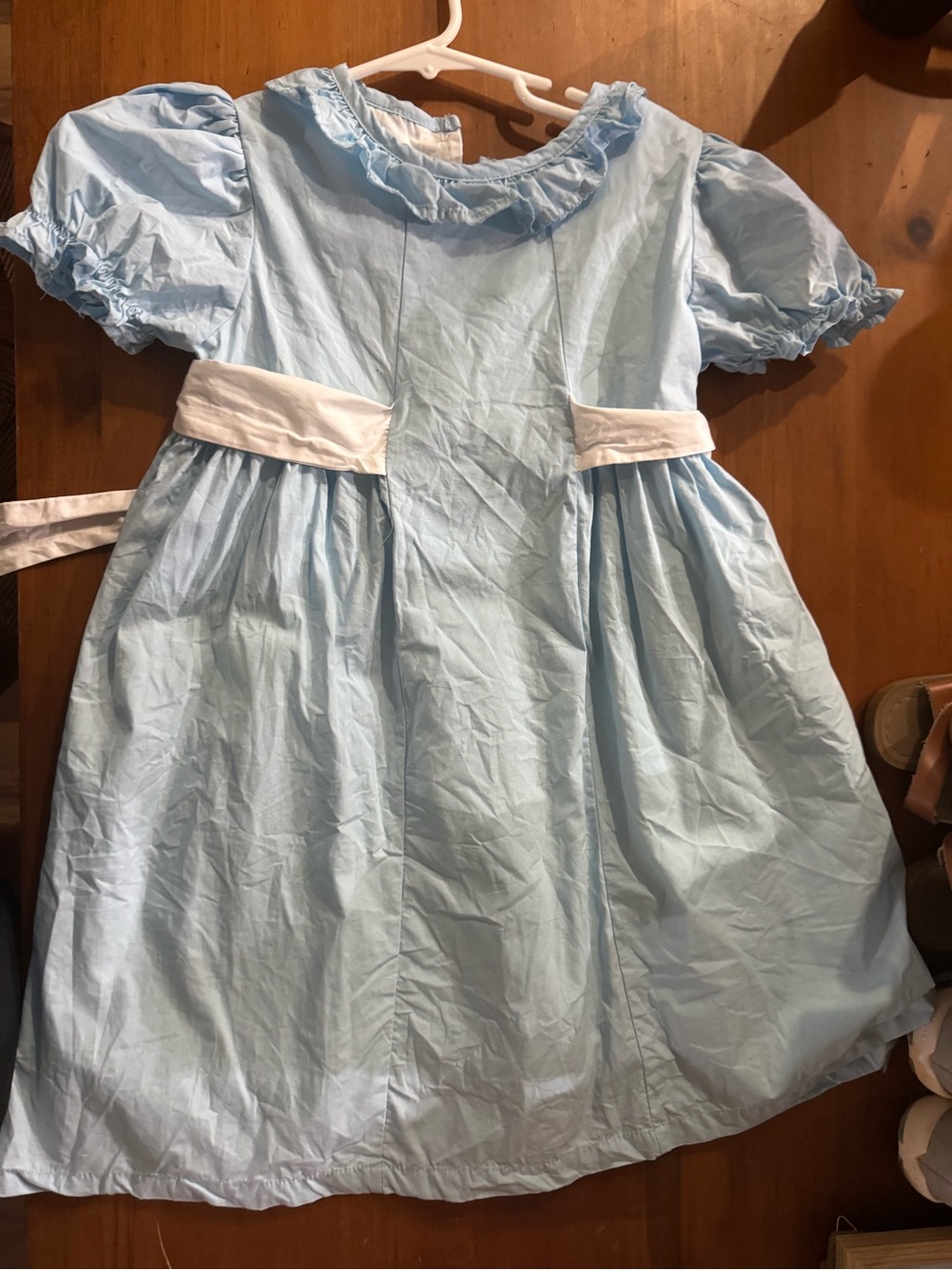 Classic whimsy dress ( wrinkled from hanging to dry)